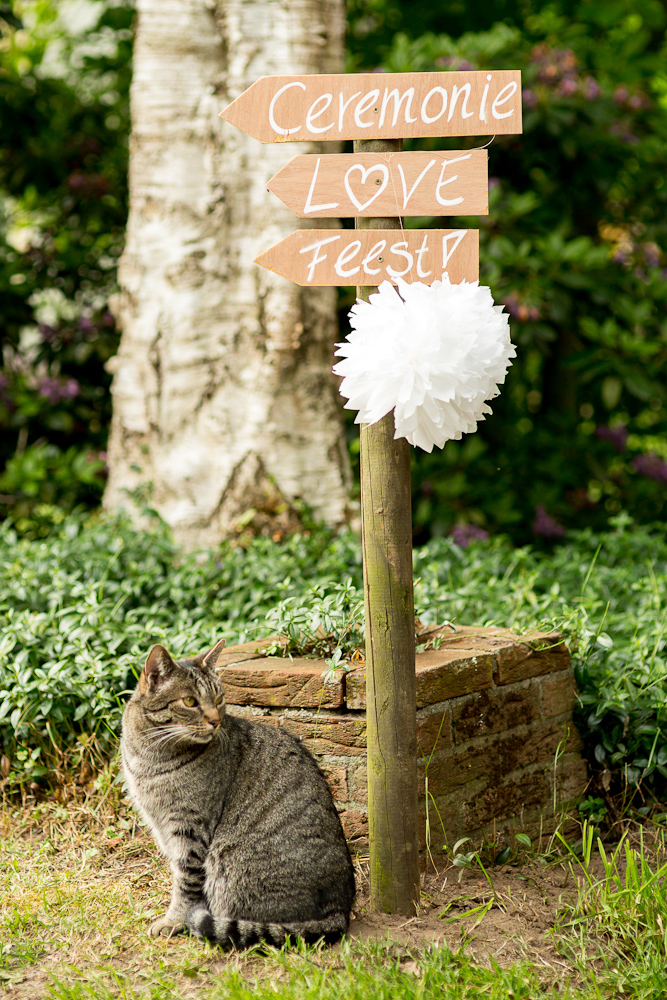 Rustic Vintage Backyard Wedding