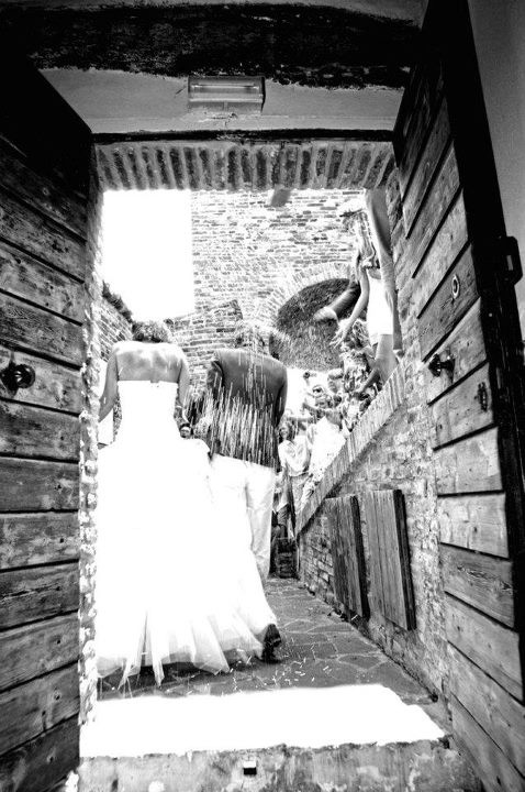 Vintage wedding at the olive groves in Italy