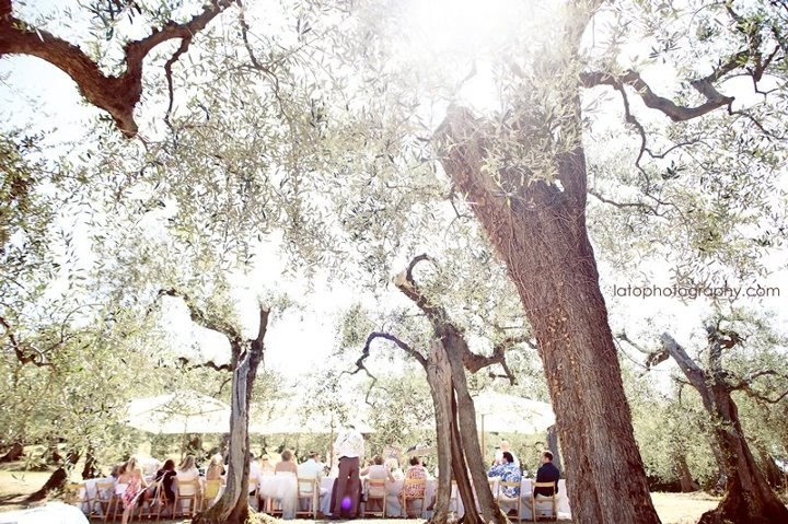 Vintage wedding at the olive groves in Italy