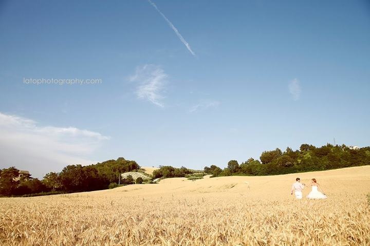 Vintage wedding at the olive groves in Italy